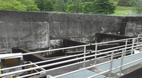 보니빌 댐(Bonneville Dam)의 구간별 어도 형식