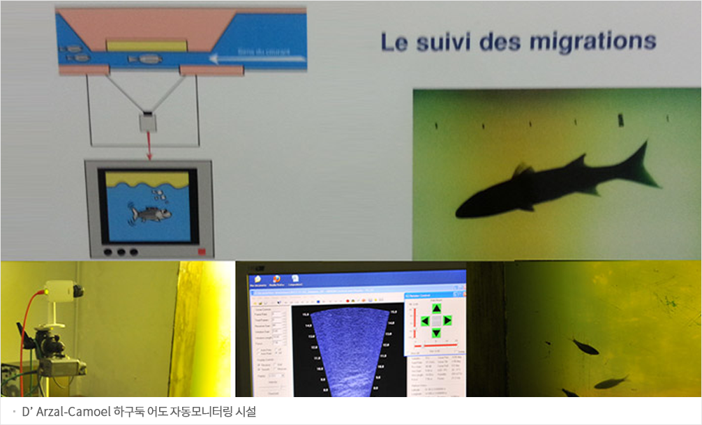 D’Arzal-Camoël 하구둑 어도 자동모니터링 시설