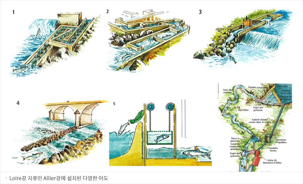 Loire강 지류인 Allier강에 설치된 다양한 어도