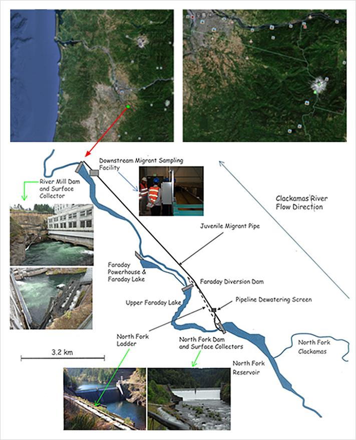 리버밀(River Mill Dam)과 노스 포크(North Fork Dam)댐 현황