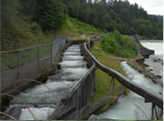 노스 포크(North Fork Dam)의 어도전경